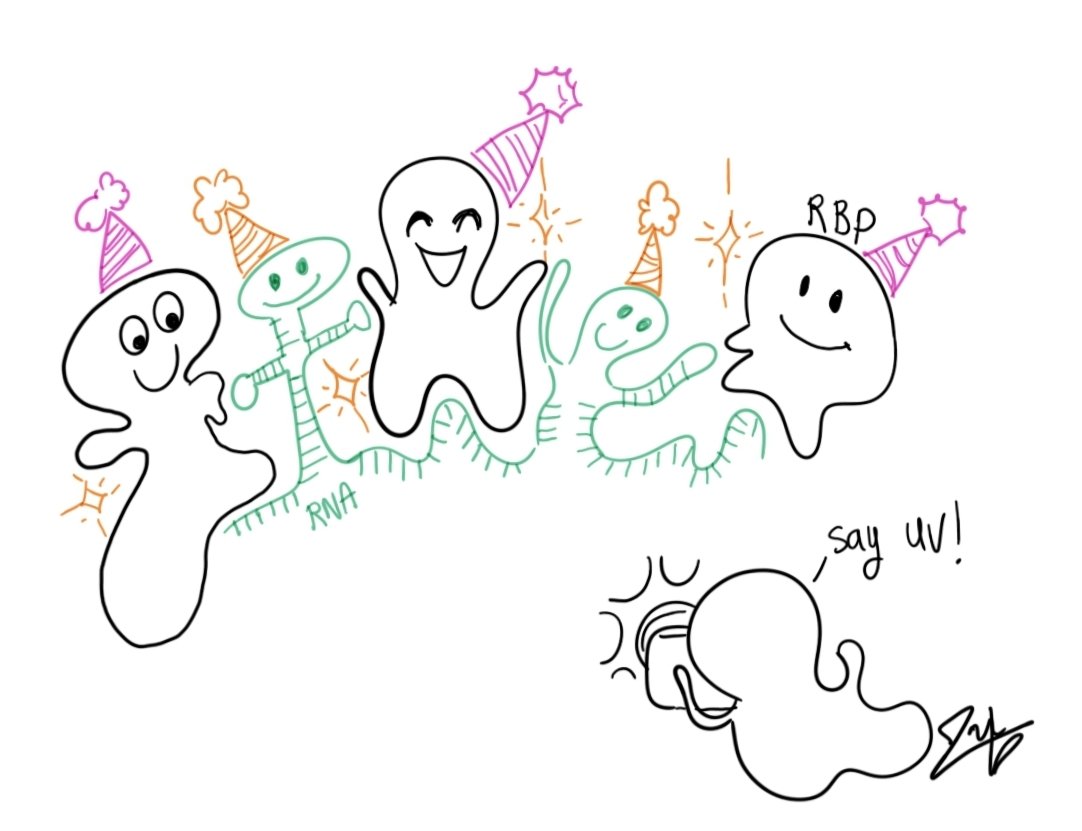 BCI RNA HUB tweet media