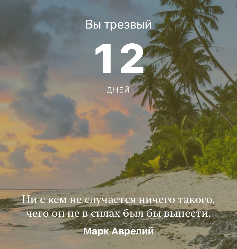 В этом году познаем трезвость