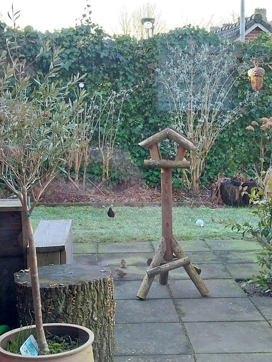 ✅️#tuinvogeltelling