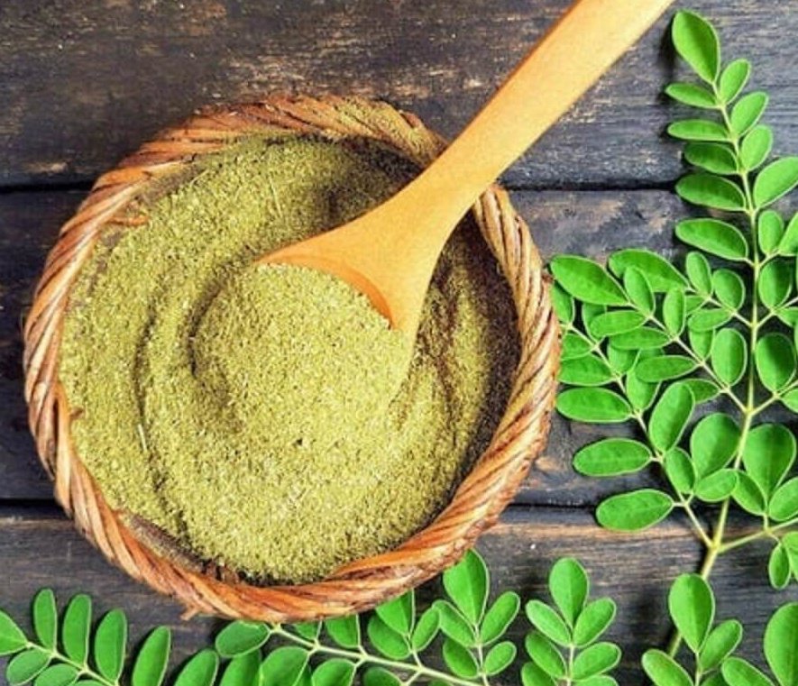 #NaijaFarmerTips

Moringa leaf contains 92 out of the 102 essential nutrients your body requires?

If you consûme Moringa steadily

1. Reduce strëss
2. Acné reduction
3. Energy level soærs

You can grînd Moringa into powder & add to your salads and fruits.

It's an amazing plant