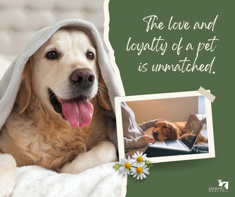 PhotonicHealth's tweet photo. In a world where everything moves swiftly, the love and loyalty of a pet stand as a constant, reminding us of life's simplest and most profound joys. Have you experienced the incredible bond with a pet? Share your heartwarming stories below! 🐾💫 https://t.co/6p8tAE4LKE