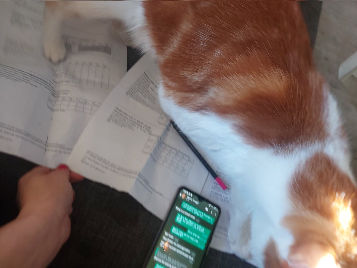 ZKOOLBOARD's tweet photo. DOING HOMEWORK #SAMENLIEF https://t.co/m237QI1CSm