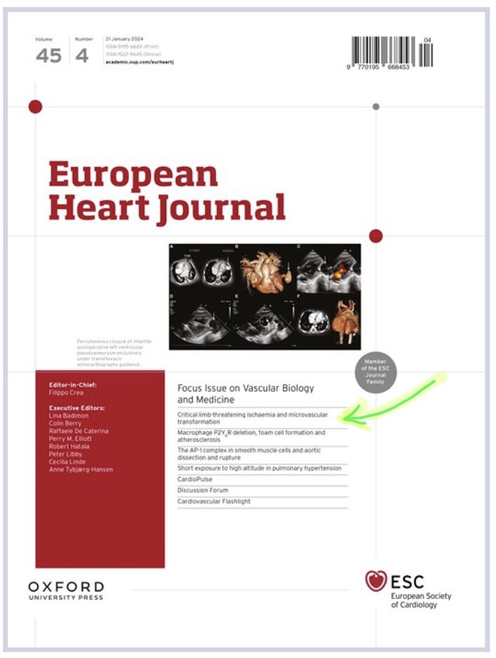 KorpisaloLab's tweet photo. Our data on microvascular pathology of ischemic human skeletal muscle out now in print. Take a look at the ❤️issue of the European Heart Journal dedicated to vascular biology and medicine -my favourites!

https://t.co/9GbJ4SKCNN https://t.co/9zEC67une0