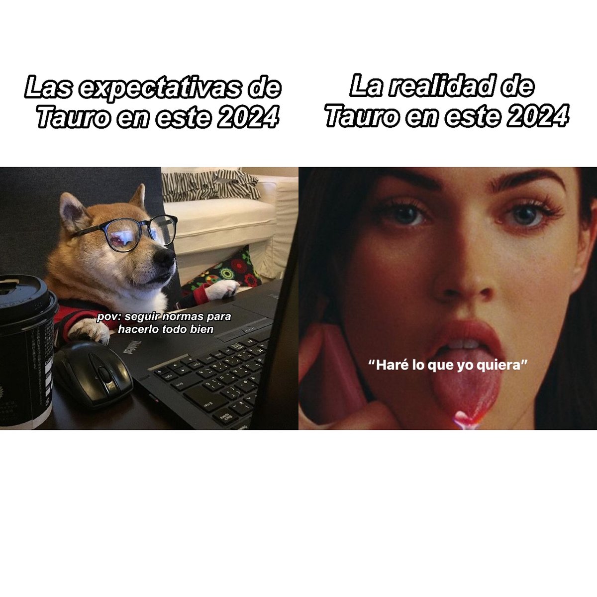 Expectativas VS Realidad de 2024 😅🤣