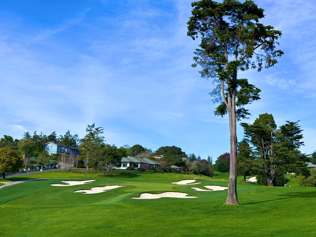 Rick Golfs tweet media