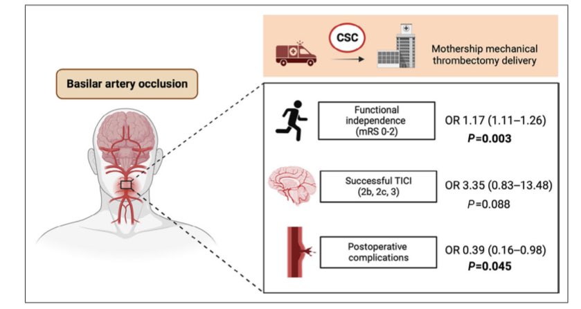 Comparison of Mothership Versus Drip‐and‐Ship Models for Endovascular Treatment of Basilar Artery Occlusion in the London Metropolitan Area | Stroke: Vascular and Interventional Neurology ahajournals.org/doi/full/10.11… @StrokeAHA_ASA @SVINJournal @svinsociety