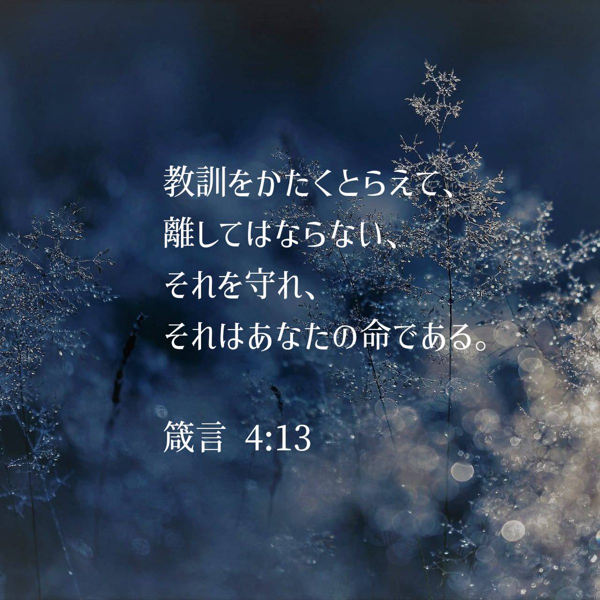 箴言 4:13 口語訳 [13] 教訓をかたくとらえて、離してはならない、 それを守れ、それはあなたの命である。 #聖書 #Bible