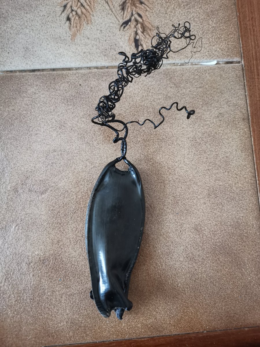 Ryan Hocking tweet media