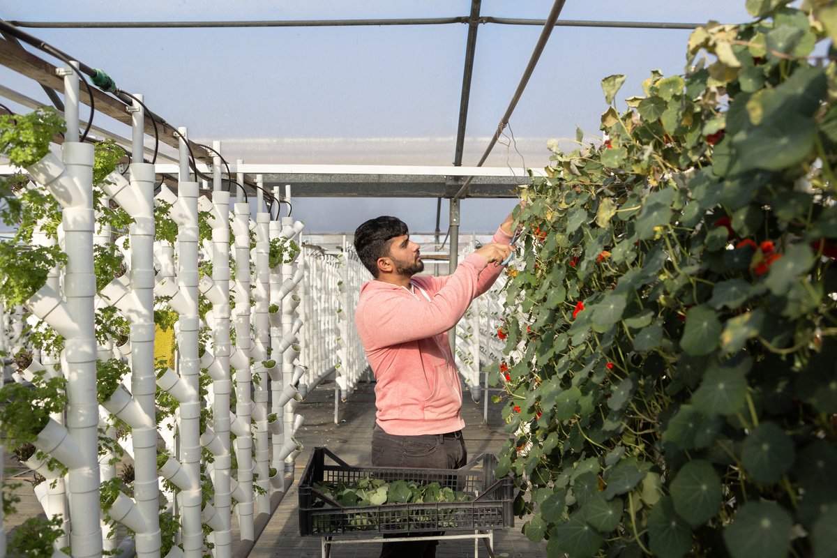 The private sector can contribute significantly to transforming agrifood systems by
📈increasing productivity
🧑‍🌾enhancing resilience of farming communities
🌳ensuring sustainable agricultural practices

Tune in to <a href="/FAO/">Food and Agriculture Organization</a>'s dialogue w/ the private sector this week, ahead of #NERC37!