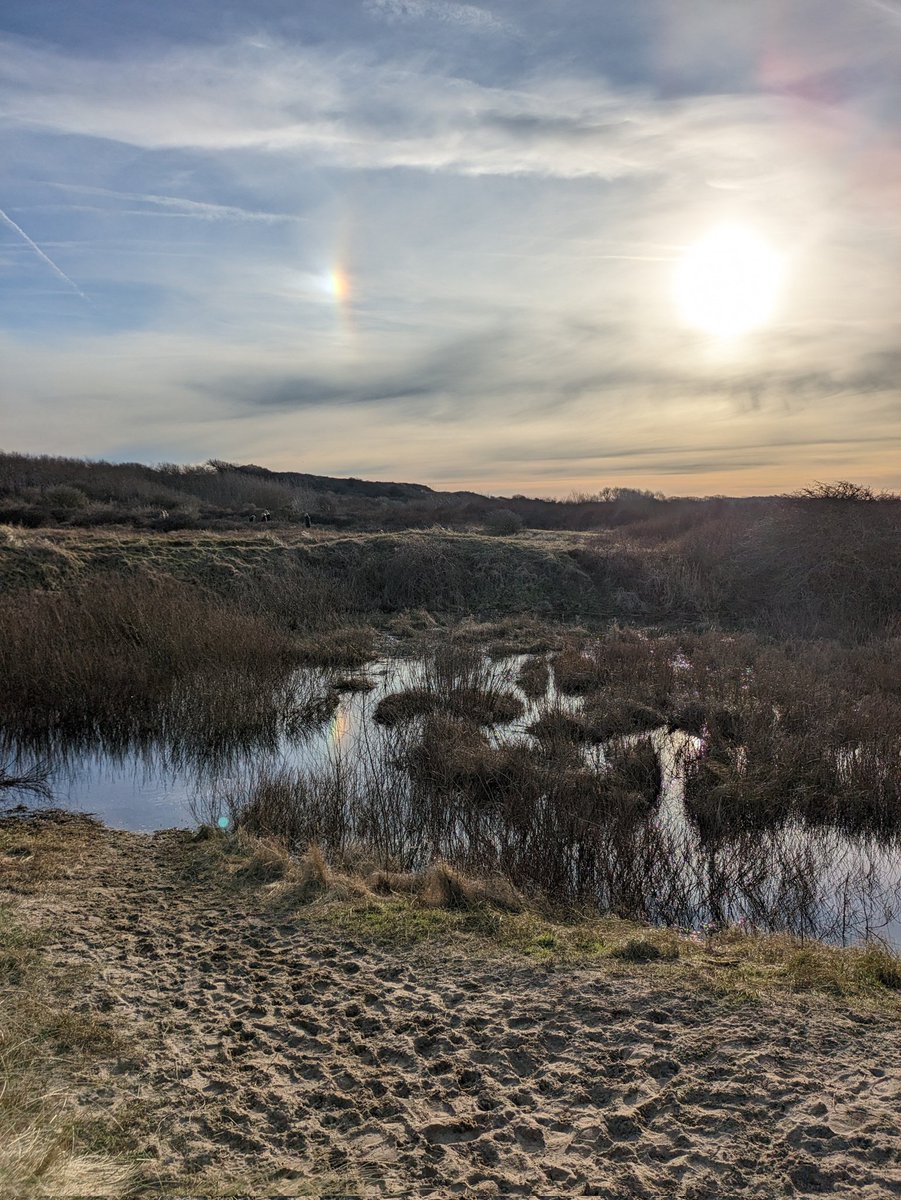 TimV81's tweet image. Zo gek nog niet, Katwijkse duinen 📷