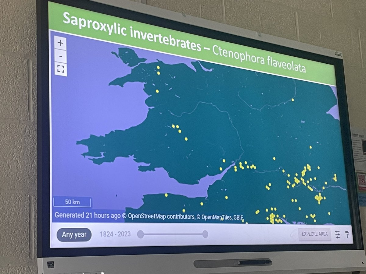 @Love_plants @SueTownsend3 One of the rare species being studied in Wales is Ctenophora flavolata. This charismatic species is striking as an adult BUT we have no clue about their larva So much yet to learn about our wildlife @PrestonMontford #EntoDay @CRStipula @DipteristsForum