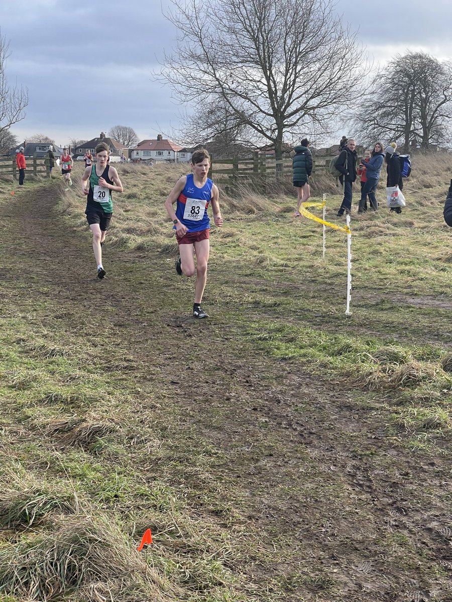 bally2911 tweet media