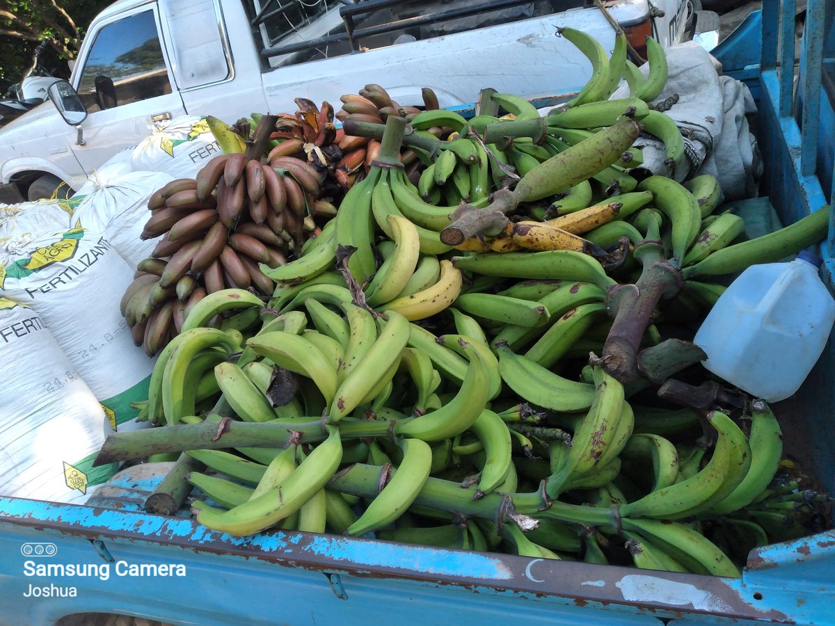 Cuida del campo y el cuidara de ti.