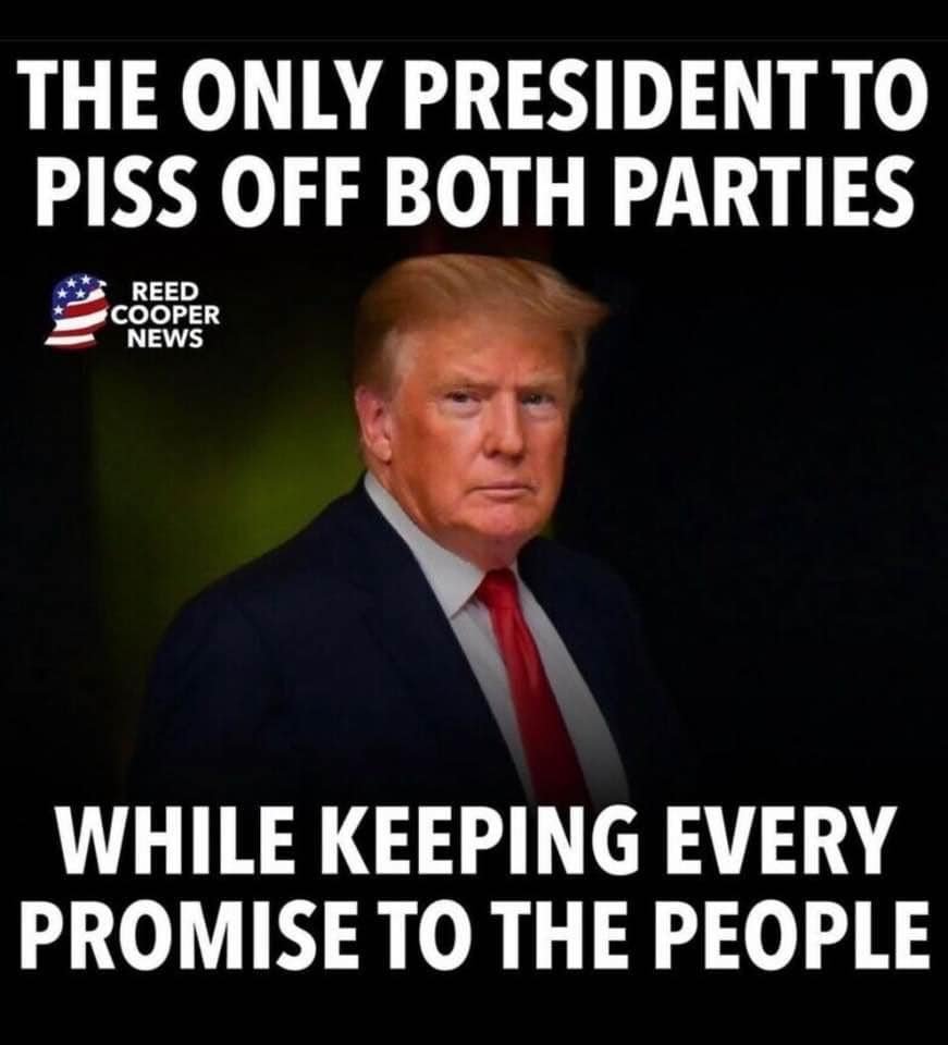 cathyyoung421's tweet image. 