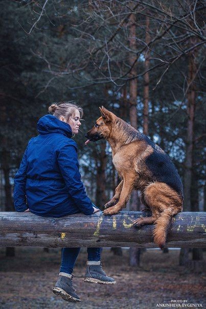 Every walk is an adventure, and every day is a treasure hunt with my #GermanShepherd pal. 🚶🐕‍🦺

#gsd #SundayFunday #dog  #SaturdayVibes #sundayvibes #SeductiveSunday #dogs #SundayMotivation #Cher #ShakespeareSunday #Miku #BigGardenBirdWatch
#dogsoftwitter #dogsofx