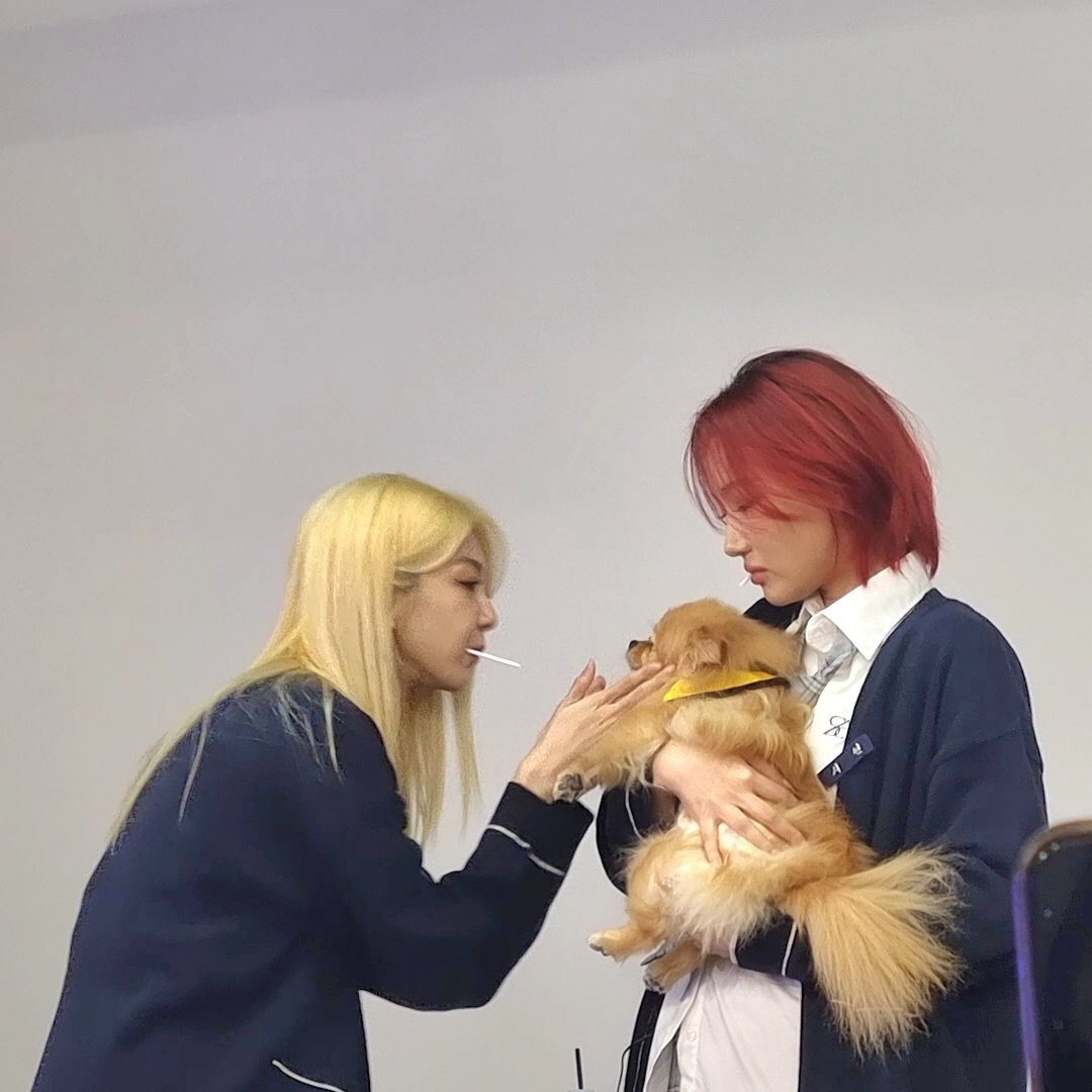 dc_ropun's tweet image. #파이 캐쳐

#드림캐쳐 #Dreamcatcher
#수아 #시연 #한동 #유현 #다미
#SUA #SIYEON #HANDONG #YOOHYEON #DAMI