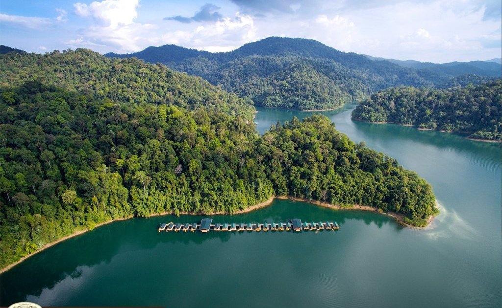 Shane Thomas tweet media