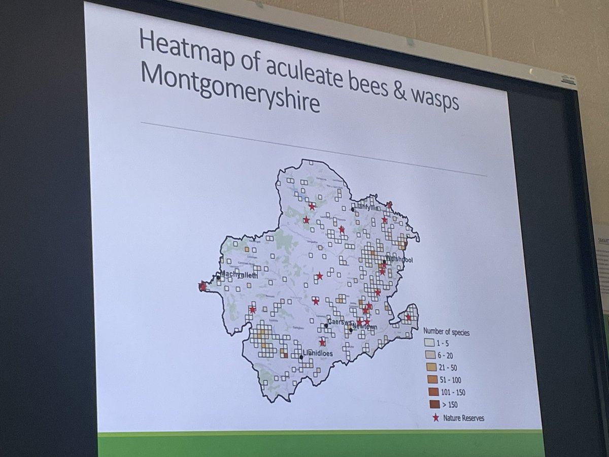 flygirlNHM's tweet photo. A species heatmap for aculeate bees & wasps from Montgomeryshire
It highlights that the nature reserves havenβt really been studied as well as where the recorders including @pickeletto lives ππ€
@PrestonMontford #EntoDay #Shropshire https://t.co/V8i5A3GSge