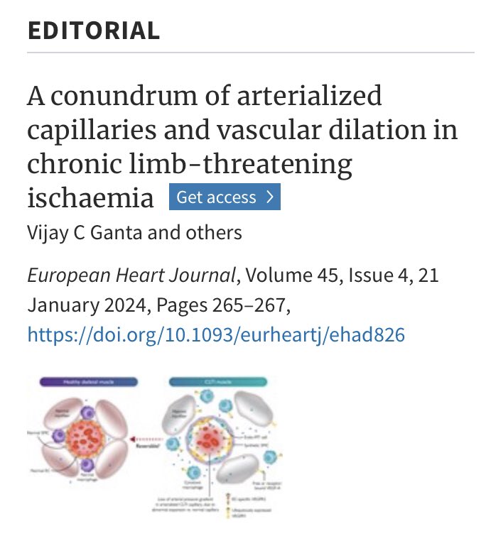 Petra Korpisalo (@korpisalolab) on Twitter photo And, big thanks also to Prof. Brian Annex and his team from <a href="/UVABME/">Virginia BME</a> for an editorial on our #EHJ paper
doi.org/10.1093/eurhea…
We know this is a bit complicated to grasp at once but we try to elaborate shortly 😊
#ischemia #ischaemia #clti #medical #microvasculature #escardio And, big thanks also to Prof. Brian Annex and his team from <a href="/UVABME/">Virginia BME</a> for an editorial on our #EHJ paper
doi.org/10.1093/eurhea…
We know this is a bit complicated to grasp at once but we try to elaborate shortly 😊
#ischemia #ischaemia #clti #medical #microvasculature #escardio