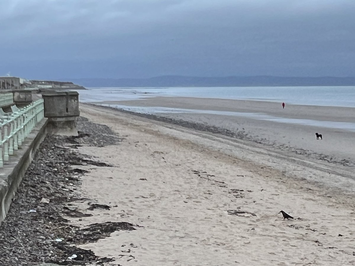 TimBonner1973's tweet photo. I’ve not run for a couple of weeks until this weekend. Too many things going on. Good to get back to it. An hours run along the coast to the Kings Road and back along Portobello Prom. #trainasone #garminuk #garminrunning #beatyesterday #runningman https://t.co/vnoqUUXo1e