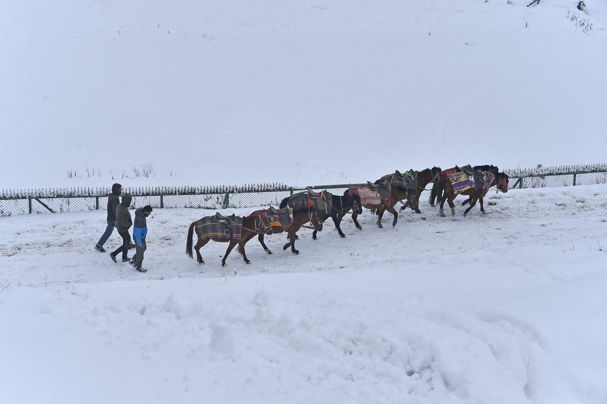 bhat_abid's tweet photo. #gulmarg #snowfall #wintertime #snowblanket #touristplace #tourist https://t.co/eL53kQUXh3