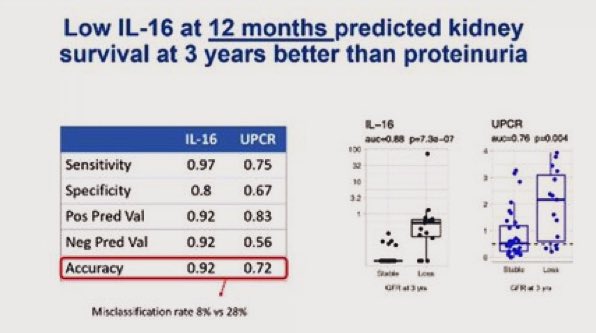 IL-16 level at 12 months *more* accurate than #proteinuria at predicting renal survival at 3 Yrs✅ #RNL2024 #CKD #Renalfailure