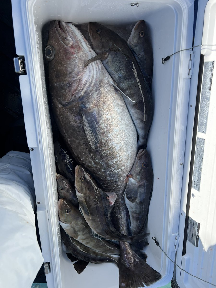 35_loves's tweet photo. 今日は今年初の鱒釣りへ🎣
幸漁丸さんにお世話になりました。
釣れませんでした！
次頑張ります🐟 https://t.co/8suiGa1pg4