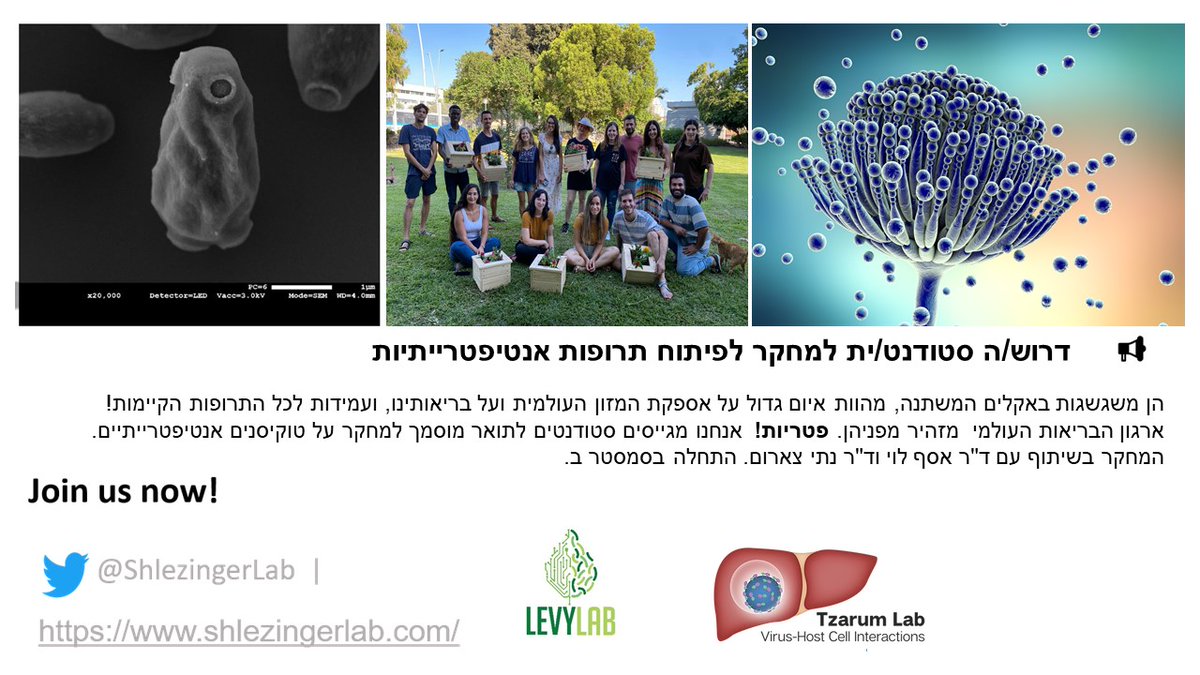 📢Hiring alert!  We're seeking passionate MSc students eager to uncover novel #antifungal agents from nature.  Apply now and join the collaborative hunt for nature's hidden antifungal gems! <a href="/AsafLevyHUJI/">Asaf Levy אסף לוי اسف ليڤي</a> <a href="/HUJIAgri/">HUJI Agri</a>