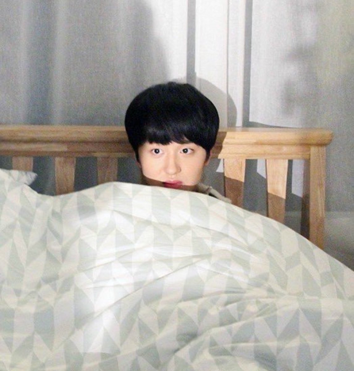 bunnypeach_cn's tweet photo. 차니 고대로컸어 https://t.co/6n8zpvzbLK