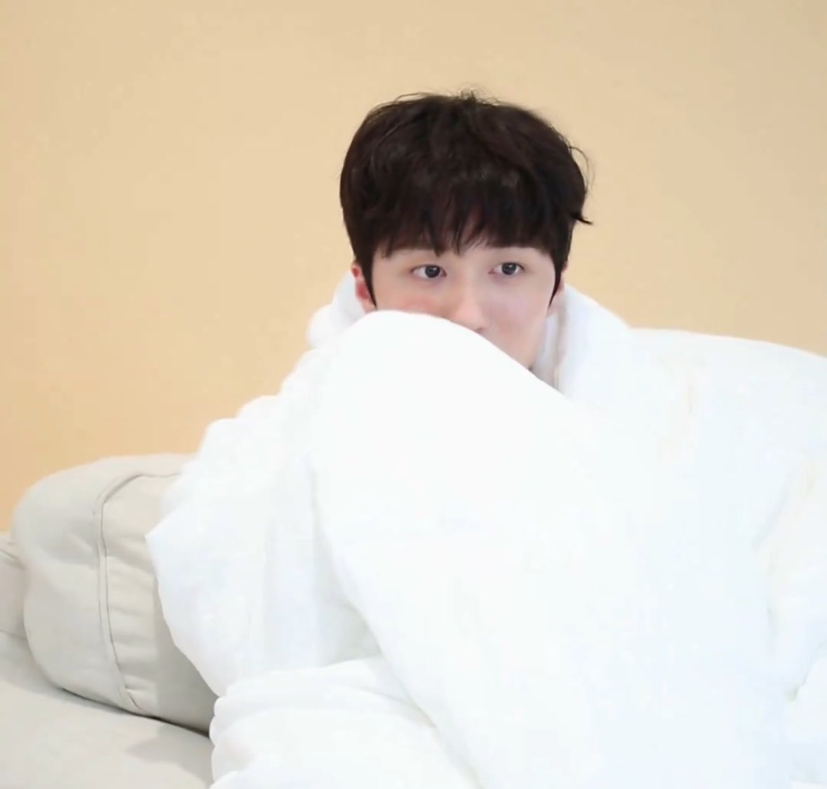 bunnypeach_cn's tweet photo. 차니 고대로컸어 https://t.co/6n8zpvzbLK