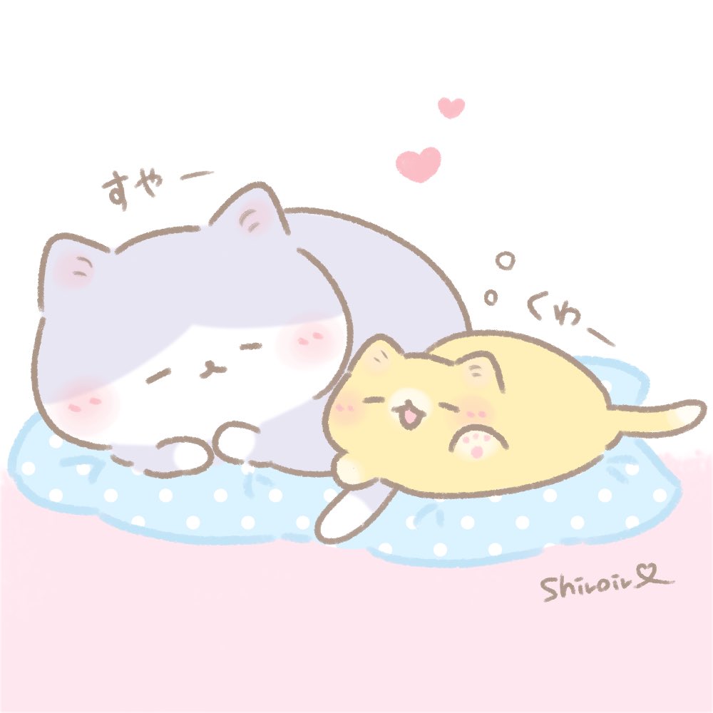 snow_kakao's tweet photo. 隣でお昼寝 https://t.co/daVLsGKdoG