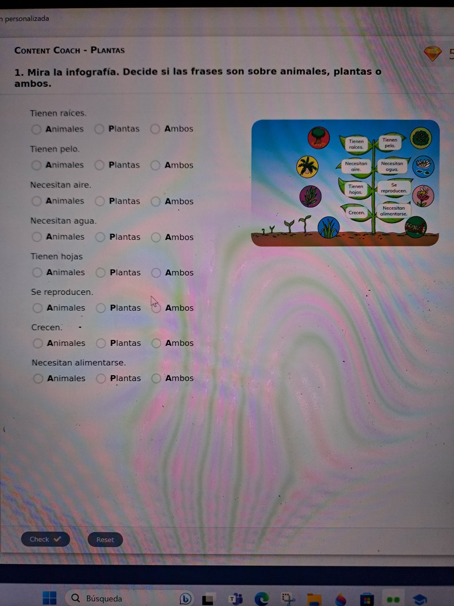 Tabda Gumad tweet media