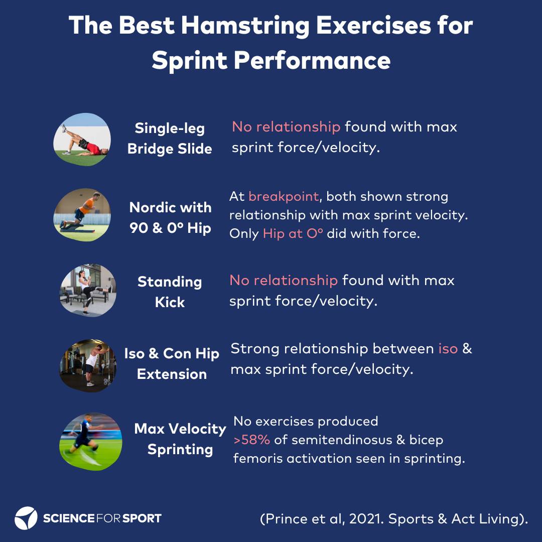 CoachBrianLebo's tweet image. #HamstringExercises 
#SprintPerformance