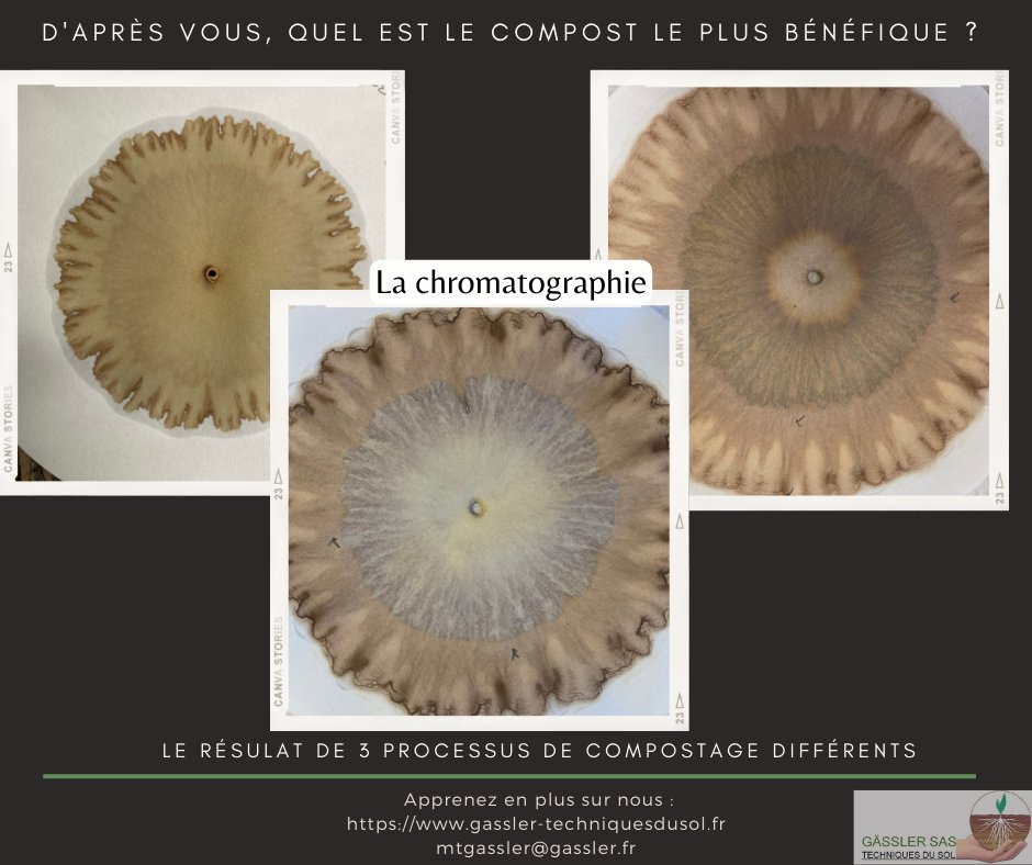 Gassler_SAS's tweet photo. 🔎 L'analyse biologique du sol / compost par chromatographie
✅Connaitre le fonctionnement biologique de son sol 
✅ Vérifier le compostage
✍🏼Résultats rendus avec notation, explications &amp; recommandations 
➡️https://t.co/YQO8wVdXUa https://t.co/W8OPwN1Vok
