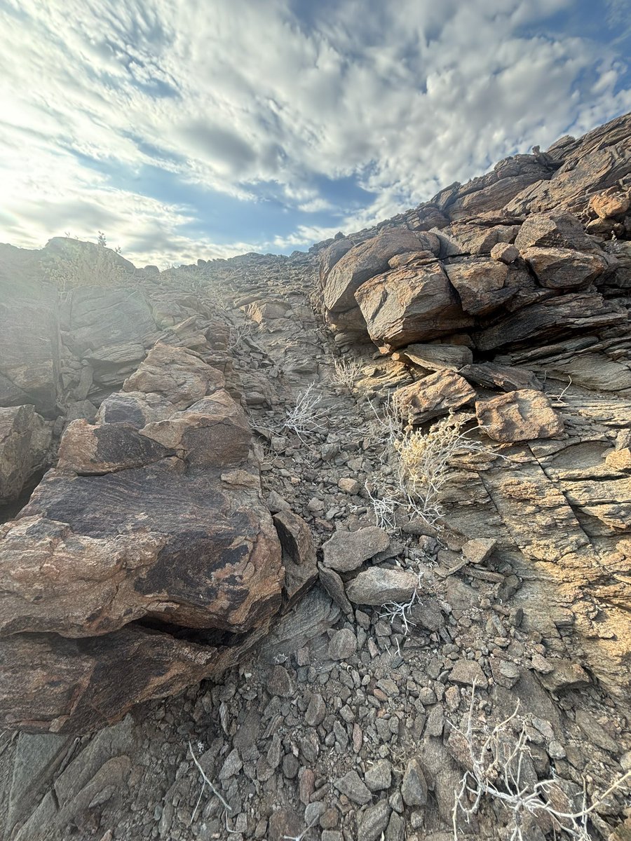 Nick Casewell tweet media