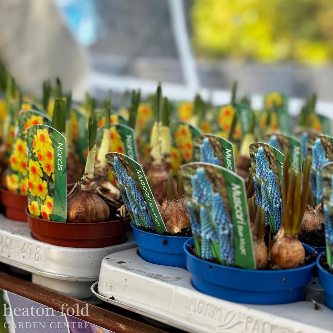 Heaton Fold Garden Centre and Cafe tweet media