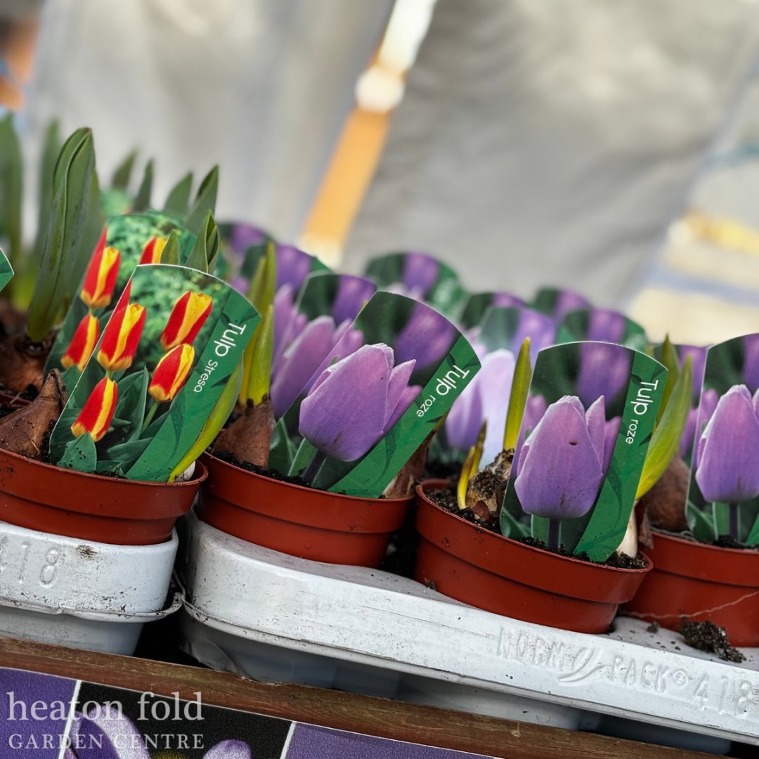 Heaton Fold Garden Centre and Cafe tweet media