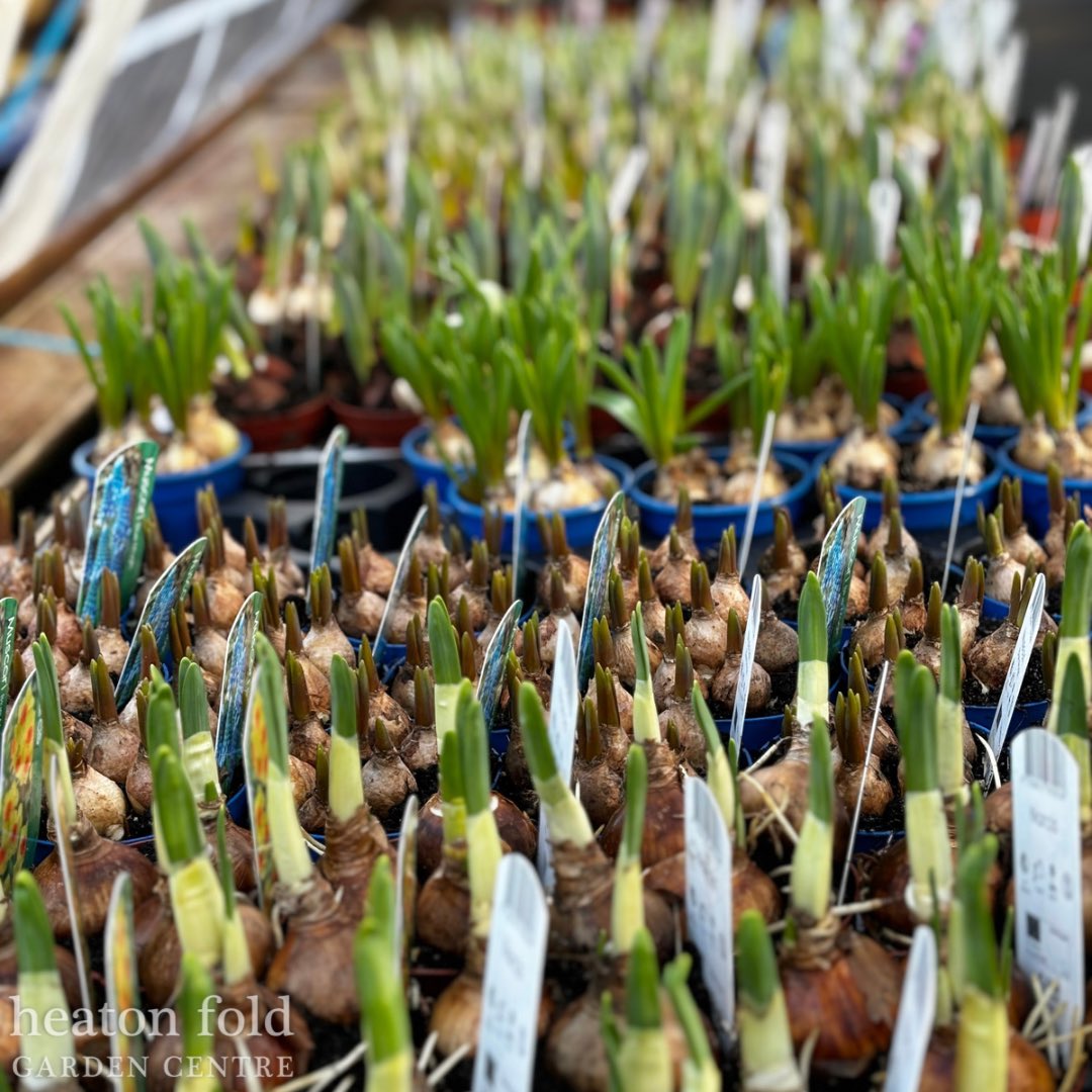 Heaton Fold Garden Centre and Cafe tweet media