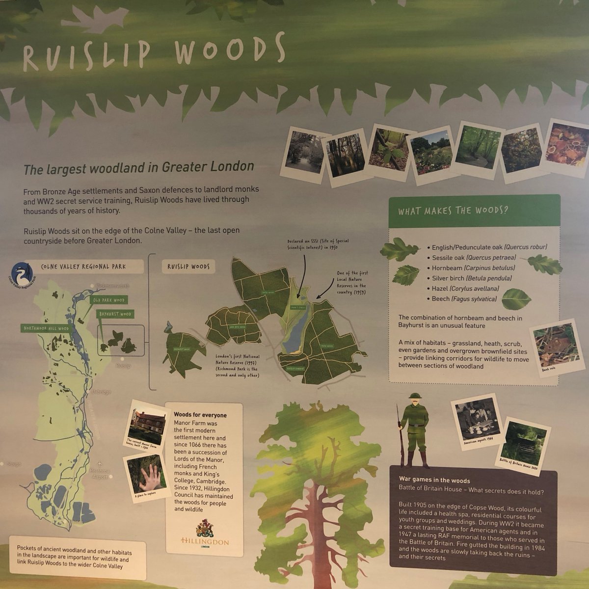 Ruislip Woods Trust tweet media