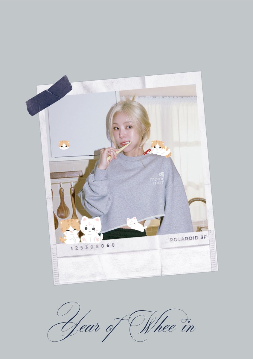 bbowheen_'s tweet photo. Year of WheeIn 
with. bbowheen X ggomo https://t.co/0PoZC6JqJN