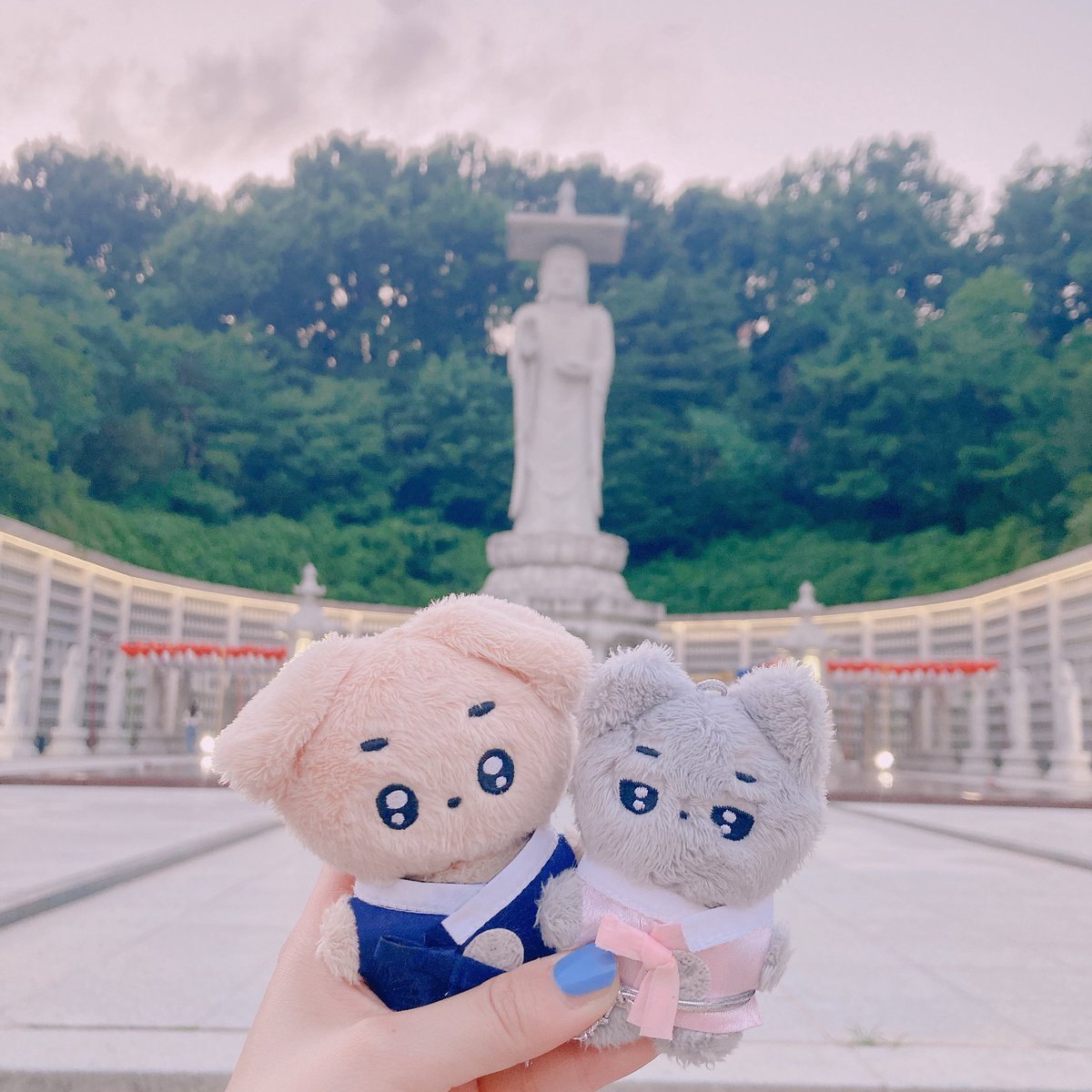 속세를 떠나 봉은사에 간
솸댕째냥🐶🐱🪷