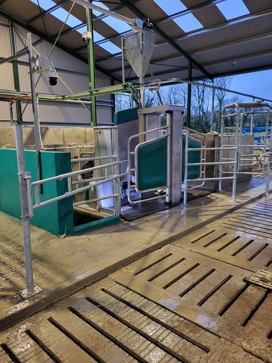 Single Box Gea R9500 install on this green field site in The Swan, Co. Laois, 60 heifers calving down in the next few weeks, so we'll do a run through then of this really nice and easy setup 🐮

Congrats to the Fleming family huge effort put in by everyone 👏