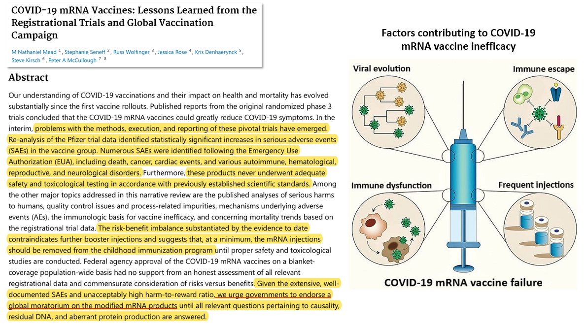 "Given the extensive, well-documented SAEs and unacceptably high harm-to-reward ratio, we urge governments to endorse a global moratorium on the modified mRNA products ..."
!
-> cureus.com/articles/20305…
I agree.
<a href="/P_McCulloughMD/">Peter A. McCullough, MD, MPH®</a> <a href="/stephanieseneff/">Stephanie Seneff</a> <a href="/JesslovesMJK/">Jessica Rose 🤙</a> <a href="/stkirsch/">Steve Kirsch</a>