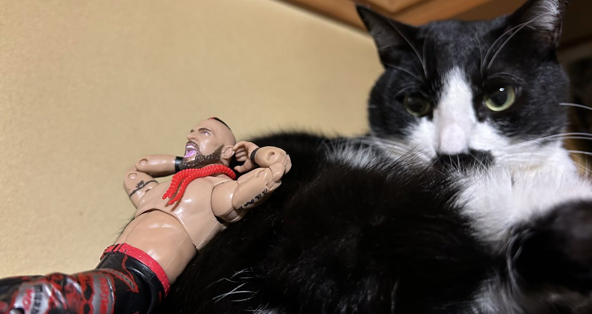 ussikasan's tweet image. #minihawk