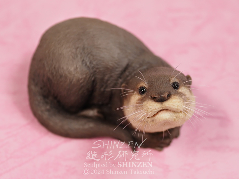 SHINZEN on X: SHINZEN on X: