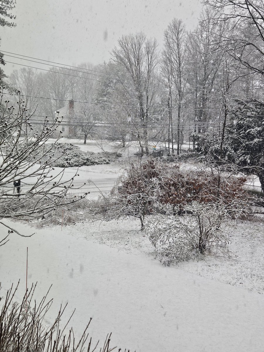 RelicBrewing tweet media