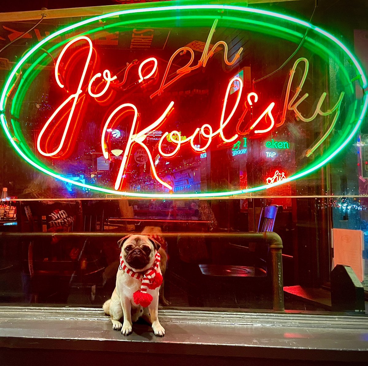 IgorPugDog's tweet image. Was Mom’s “wing man” last night 🤘 ~ Lil C 

#barhopping #pug #ldnont #saturdaynight @joekoolslondon