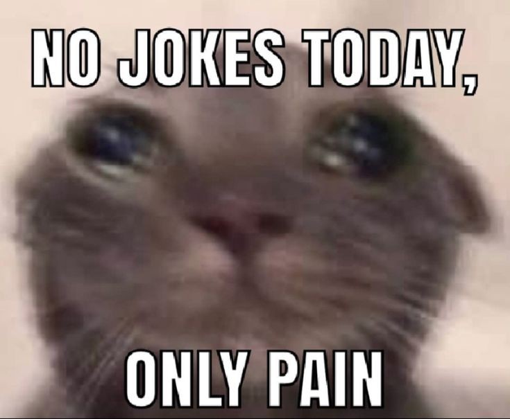 <a href="/convomfs/">convomfs</a>