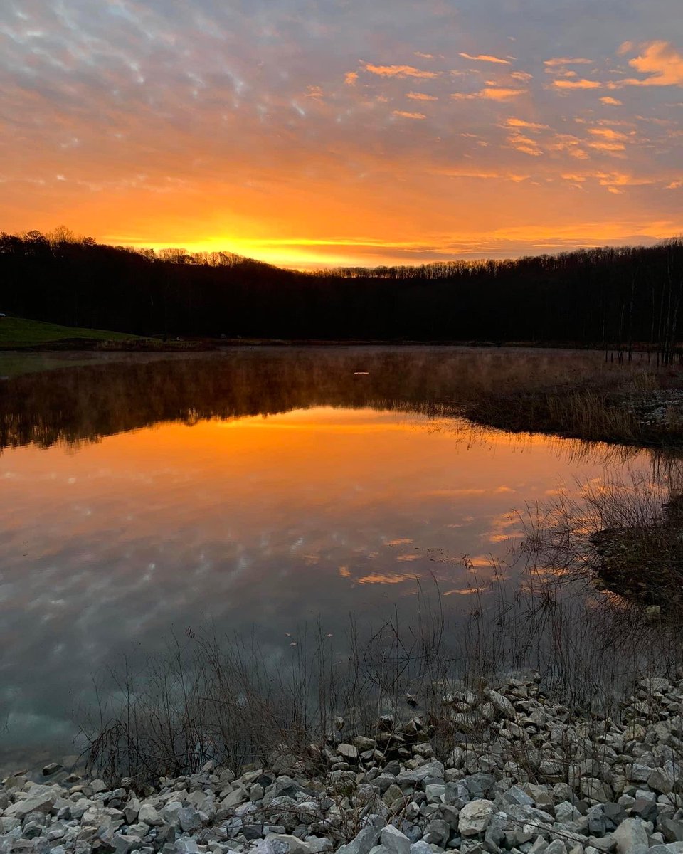 Edgar Allen Lee tweet media