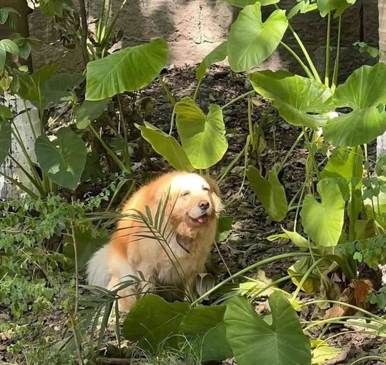 Cameron Wortlehock tweet media